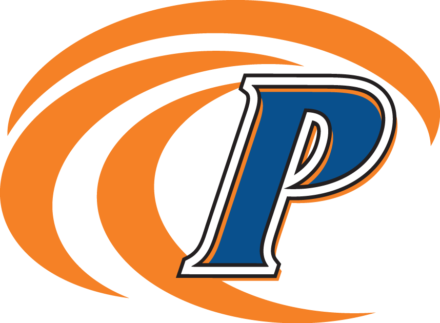 Pepperdine Waves 2004-2010 Secondary Logo iron on transfers for fabric